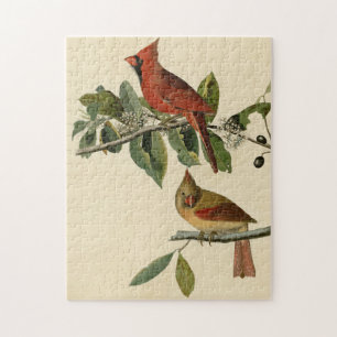 Cardinal Grosbeak from Audubon's Birds of America Jigsaw Puzzle