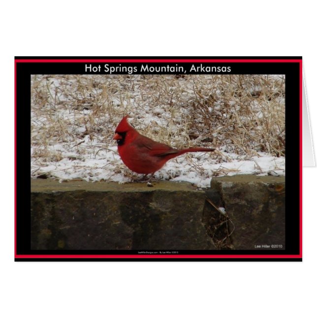Cardinal Hot Springs Nat. Park Mountain AR Gifts (Front Horizontal)