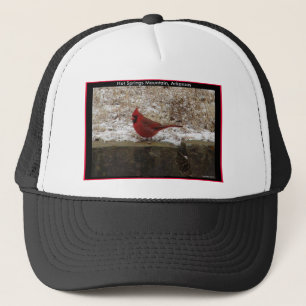 Cardinal Hot Springs Nat. Park Mountain AR Gifts Trucker Hat