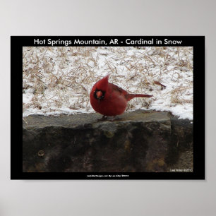 Cardinal Hot Springs Nat. Park Mountain Poster II