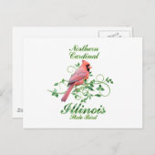 Cardinal Illinois State Bird Postcard (Front/Back)