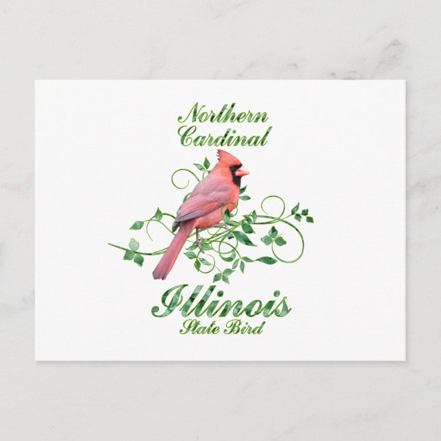 Cardinal Illinois State Bird Postcard (Front)