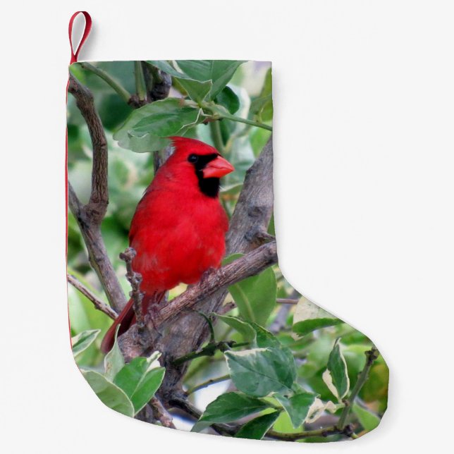Cardinal in a Lemon Tree - Christmas Stocking (Front)