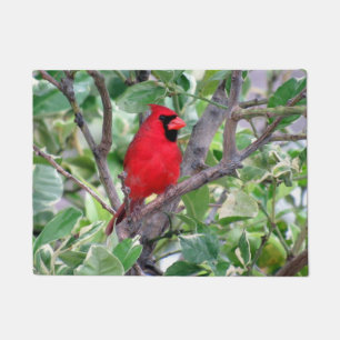Cardinal in a Lemon Tree -  Doormat