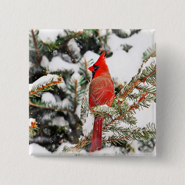 Cardinal in a pine tree 15 cm square badge (Front)