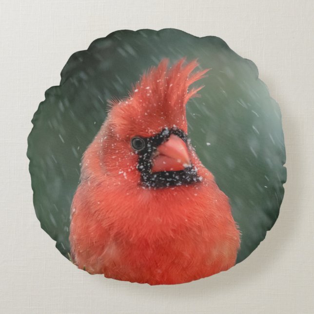 Cardinal in a pine tree during a snow storm round cushion (Front)