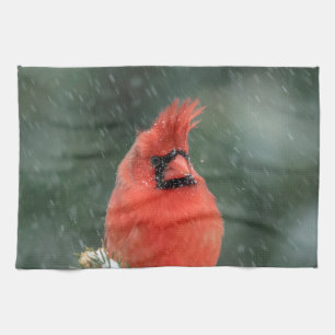 Cardinal in a pine tree during a snow storm tea towel