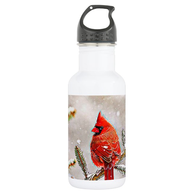 Cardinal in a pine tree in winter 532 ml water bottle (Front)