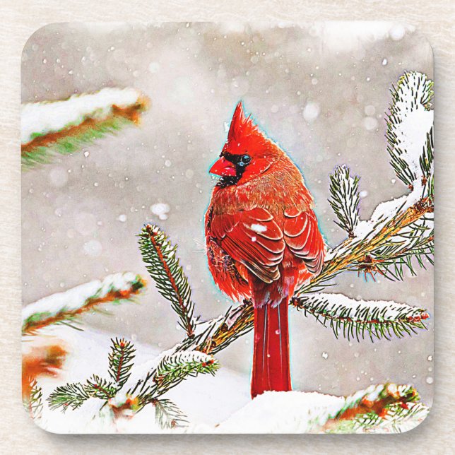 Cardinal in a pine tree in winter coaster (Front)