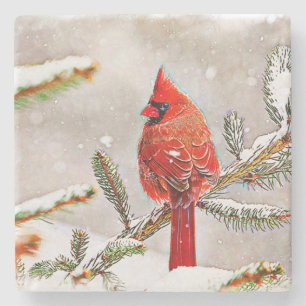 Cardinal in a pine tree in winter stone coaster
