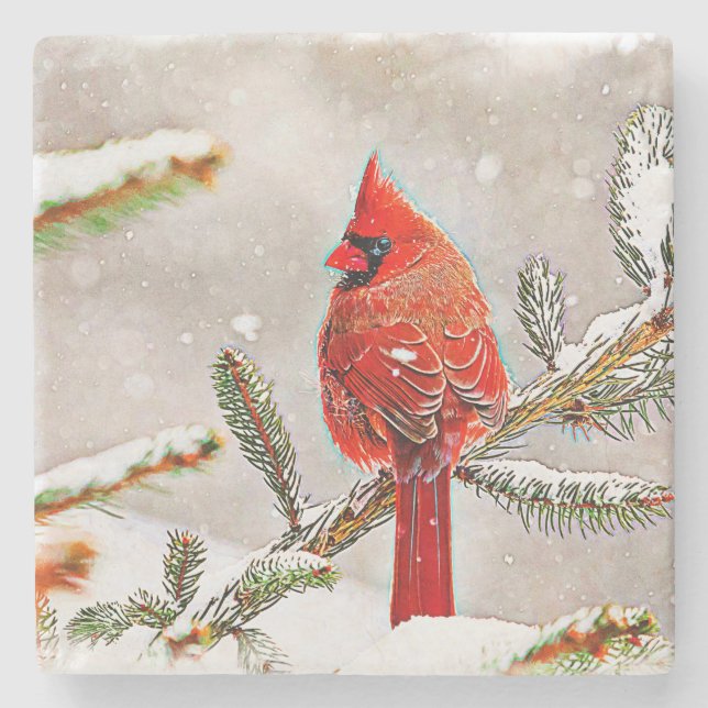 Cardinal in a pine tree in winter stone coaster (Front)