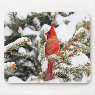 Cardinal in a pine tree mouse pad