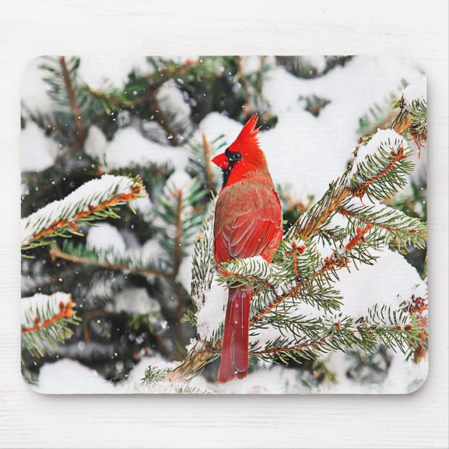 Cardinal in a pine tree mouse pad (Front)