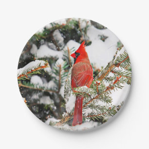 Cardinal in a pine tree paper plate