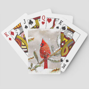 Cardinal in a pine tree playing cards