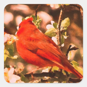 Cardinal in Apple Blossoms Square Sticker