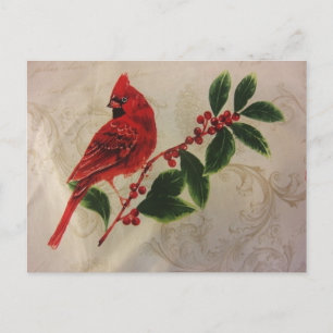 Cardinal in Holly Bush Postcard