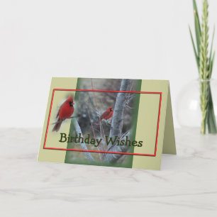 Cardinal in Maple Tree- customise any occasion Card
