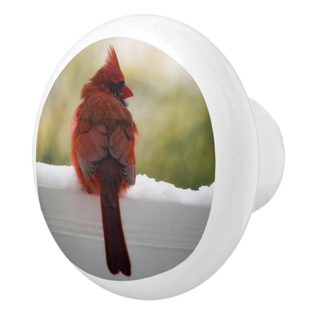 Cardinal In Snow Ceramic Knob (Right)