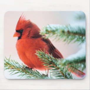 Cardinal in Snow Dusted Fir Mouse Pad