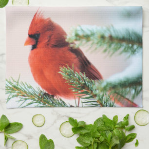 Cardinal in Snow Dusted Fir Tea Towel