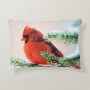 Cardinal in Snow Dusted Fir Tree Decorative Cushion