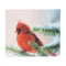 Cardinal in Snow Dusted Fir Tree