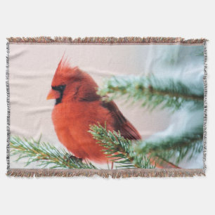Cardinal in Snow Dusted Fir Tree Throw Blanket