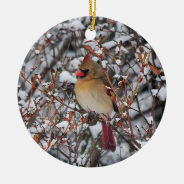 Cardinal in snow ornament (Front)