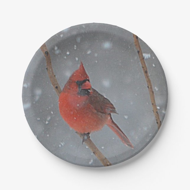 Cardinal In Snow Paper Plate (Front)