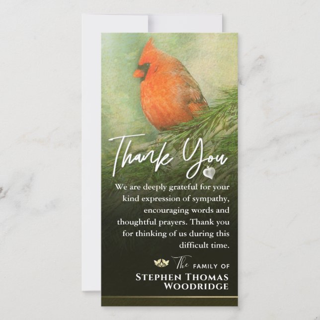 Cardinal in Spruce 4x8  Sympathy Thank You Card (Front)