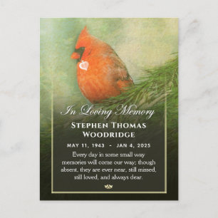 Cardinal in Spruce Sympathy Thank PostCard