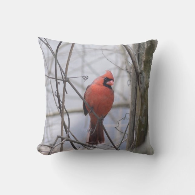 Cardinal in the Fog! Cushion (Front)