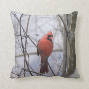 Cardinal in the Fog! Cushion