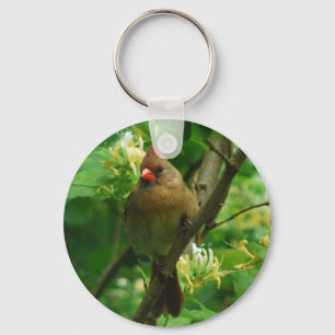 Cardinal in the honeysuckles keychain