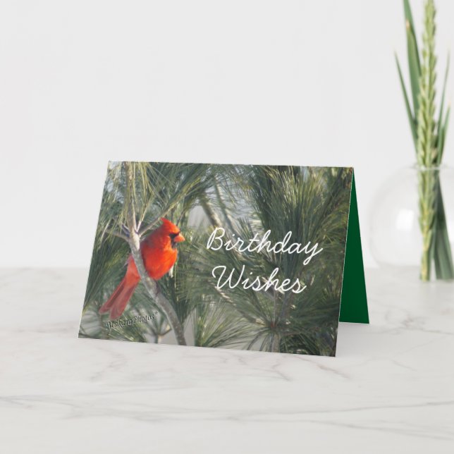 Cardinal in the Pine-customise any occasion Card (Front)