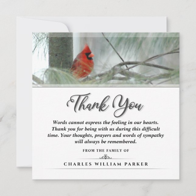 Cardinal in the Pine SQUARE Funeral Thank You Card (Front)