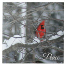 Cardinal in the Snow