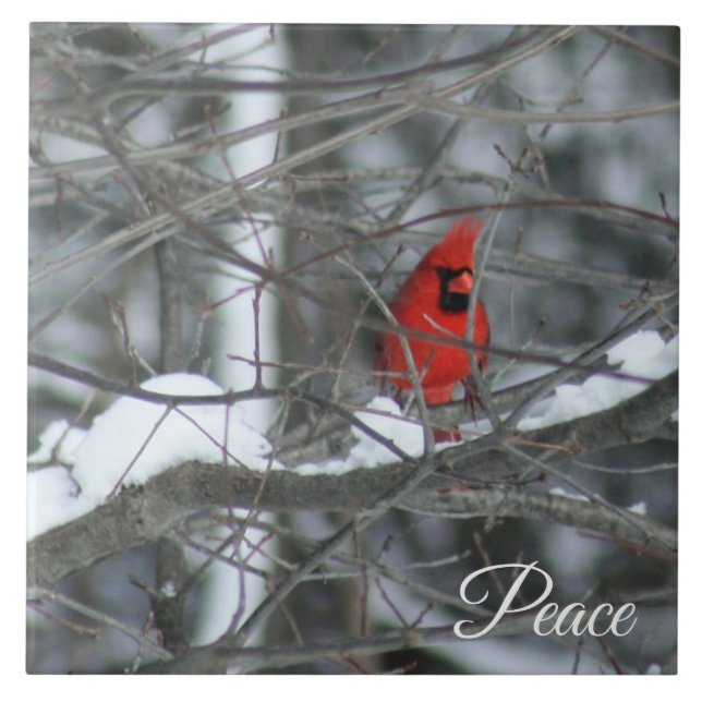 Cardinal in the Snow Ceramic Tile (Front)