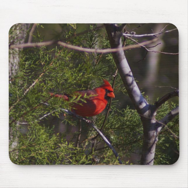 Cardinal in tree mouse pad (Front)