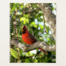 Cardinal in Tree Personalised