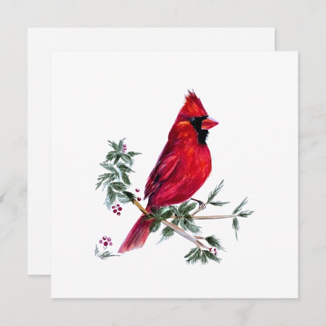 Cardinal in Watercolor by Amy DeVane Art Cards (Front/Back)