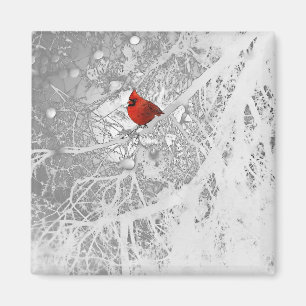 Cardinal in Winter Magnet