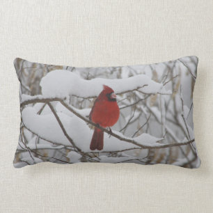 Cardinal in winter snow pillow