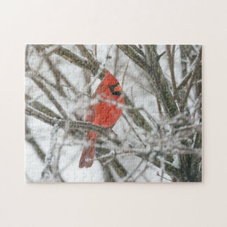 Cardinal Jigsaw Puzzle
