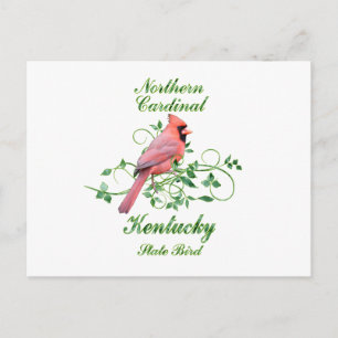 Cardinal Kentucky State Bird Postcard