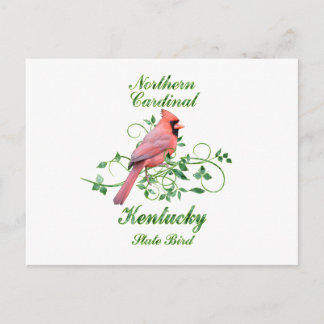 Cardinal Kentucky State Bird Postcard