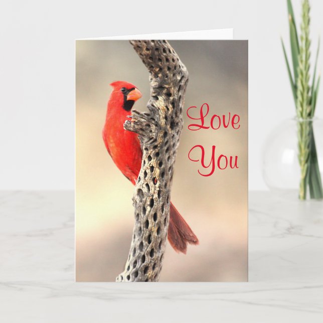 Cardinal  love you holiday card (Front)