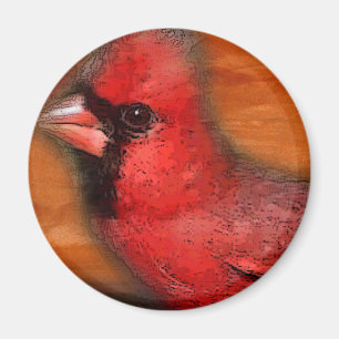 cardinal magnet