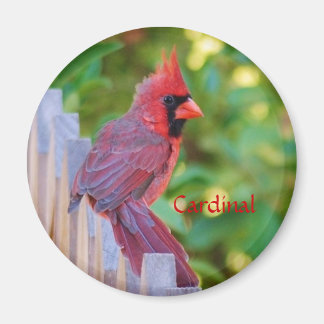 Cardinal Magnet